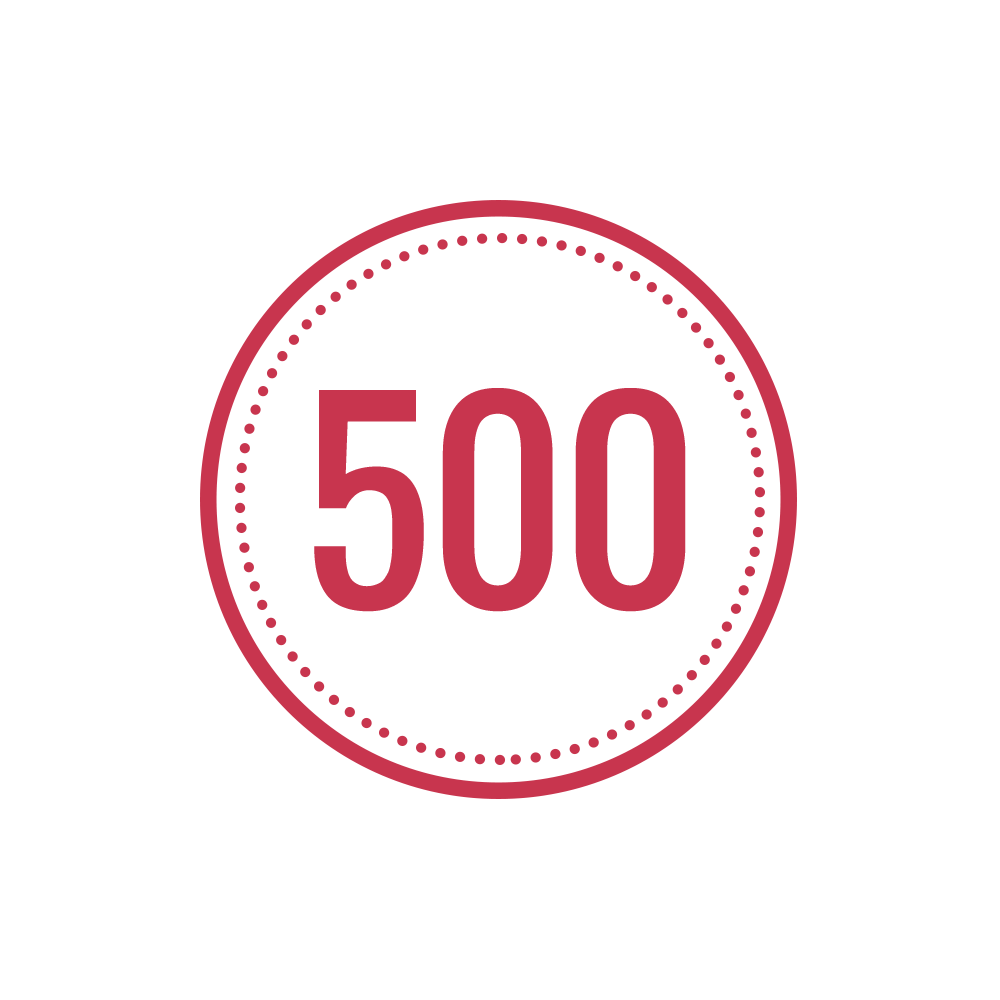 Team 500 logo